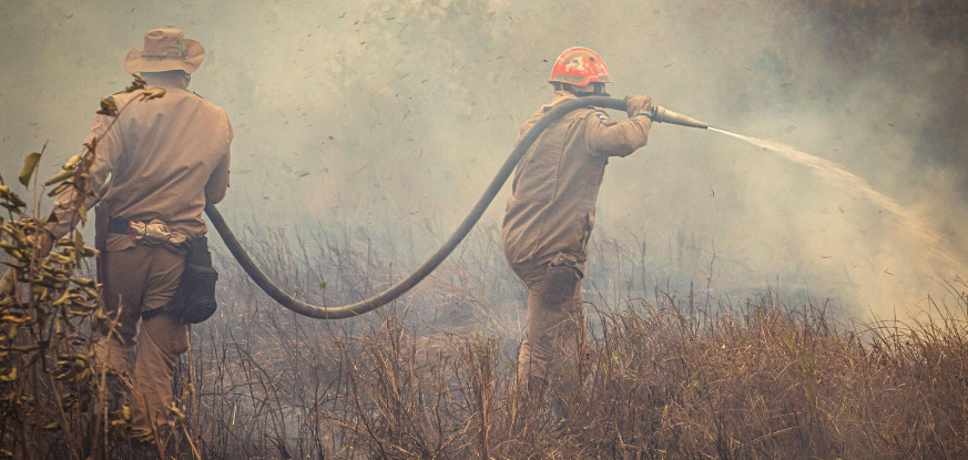 California Wildfires (Ongoing in 2025)